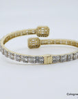 25ct H-si Diamant in 585/14K Gelbgold